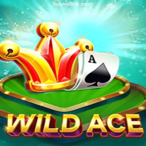 Exploring WildAce: The Exciting Online Cassino Experience on TKWIN.com